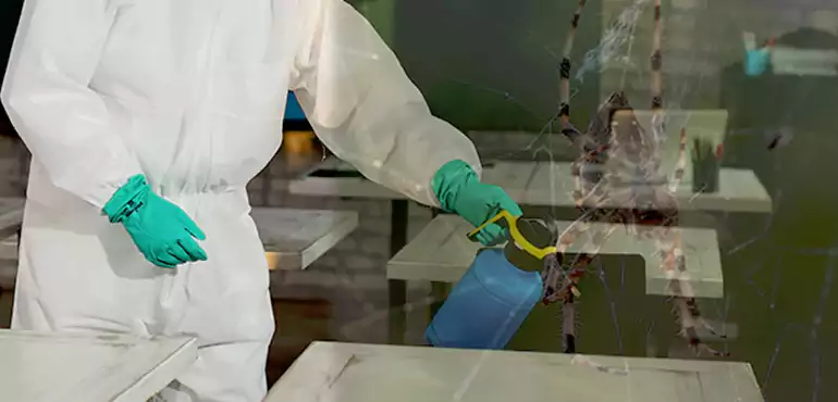 Why Buyers Still Want Homes With Pest Infestations in Virginia, VA?