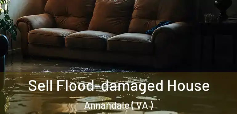  Sell Flood-damaged House Annandale ( VA )