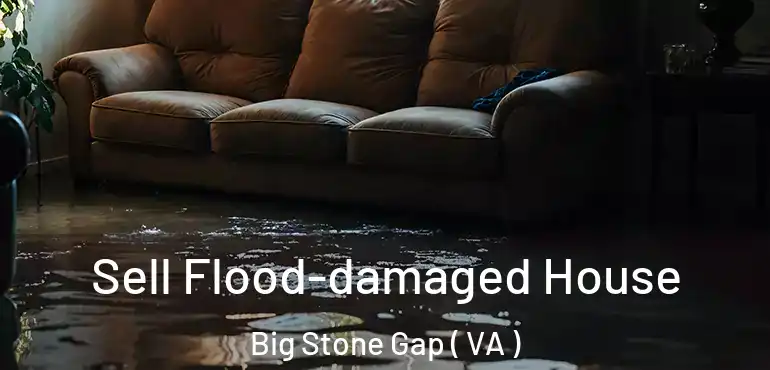  Sell Flood-damaged House Big Stone Gap ( VA )
