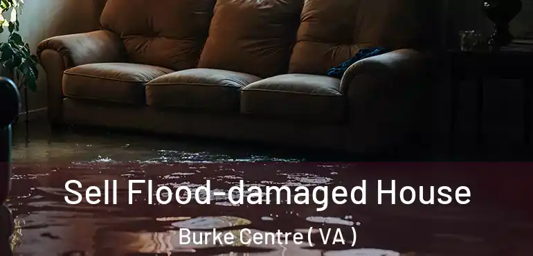  Sell Flood-damaged House Burke Centre ( VA )