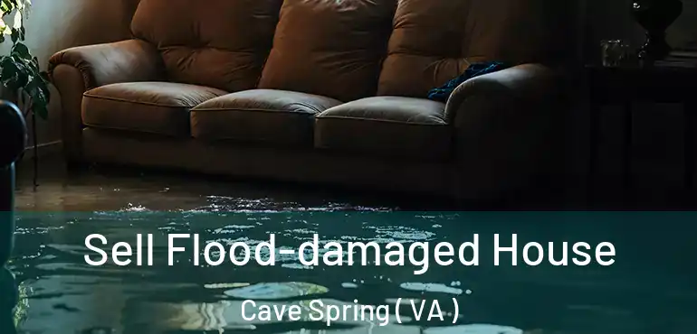  Sell Flood-damaged House Cave Spring ( VA )