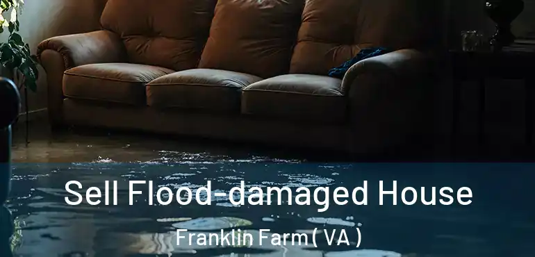  Sell Flood-damaged House Franklin Farm ( VA )