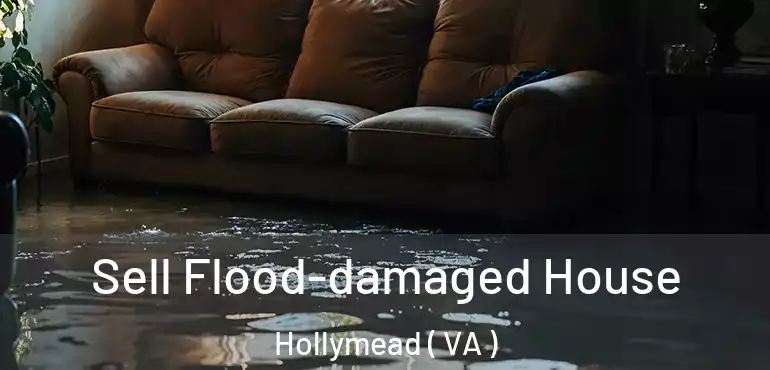  Sell Flood-damaged House Hollymead ( VA )
