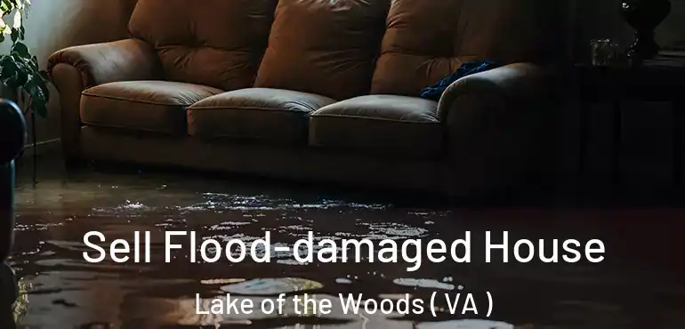  Sell Flood-damaged House Lake of the Woods ( VA )