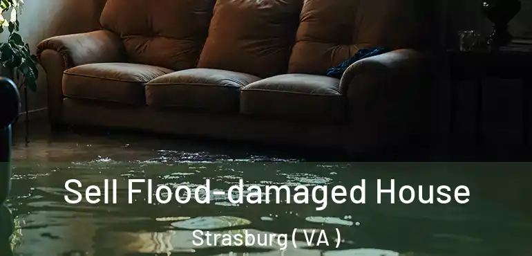  Sell Flood-damaged House Strasburg ( VA )