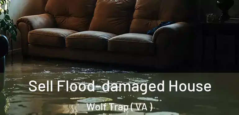  Sell Flood-damaged House Wolf Trap ( VA )