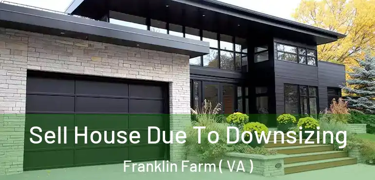  Sell House Due To Downsizing Franklin Farm ( VA )
