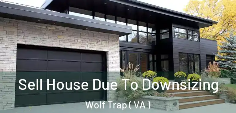  Sell House Due To Downsizing Wolf Trap ( VA )