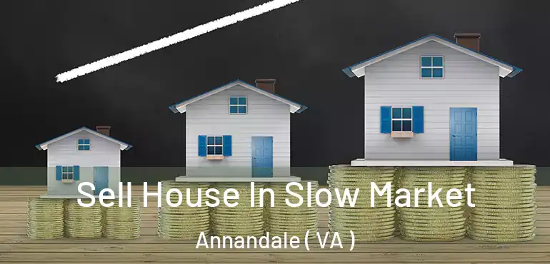  Sell House In Slow Market Annandale ( VA )