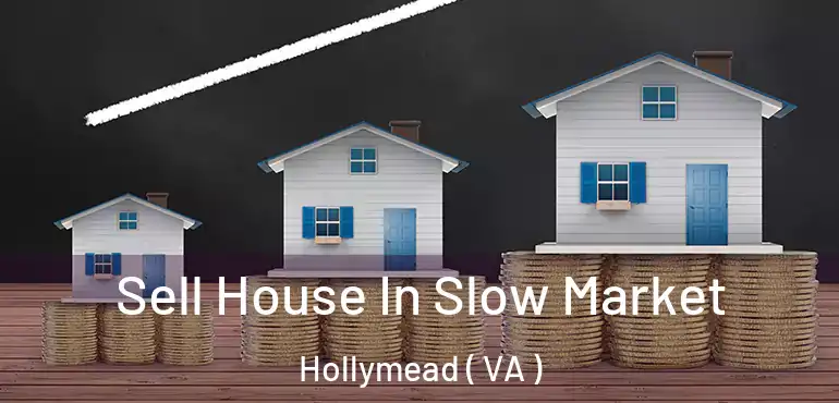  Sell House In Slow Market Hollymead ( VA )
