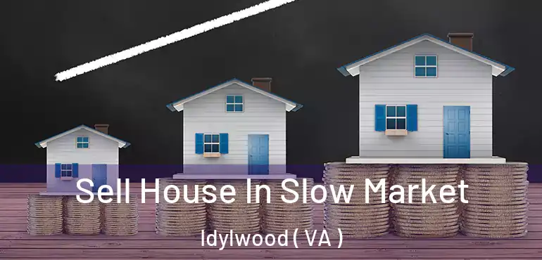  Sell House In Slow Market Idylwood ( VA )