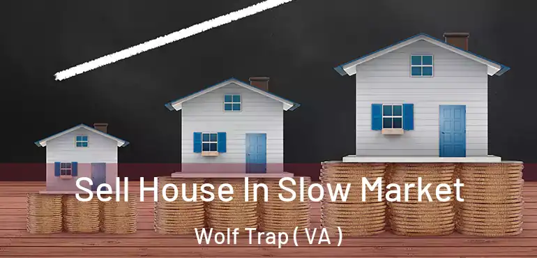 Sell House In Slow Market Wolf Trap ( VA )