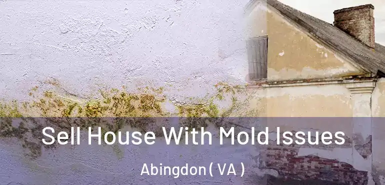  Sell House With Mold Issues Abingdon ( VA )