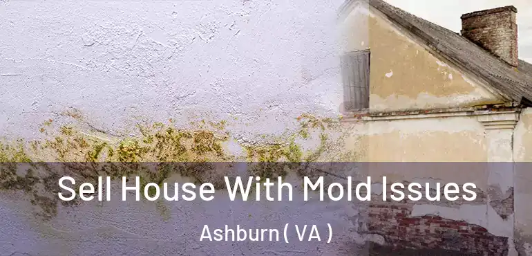  Sell House With Mold Issues Ashburn ( VA )