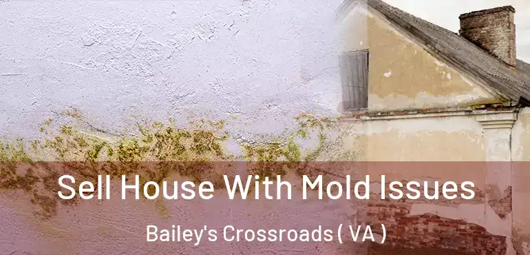  Sell House With Mold Issues Bailey's Crossroads ( VA )