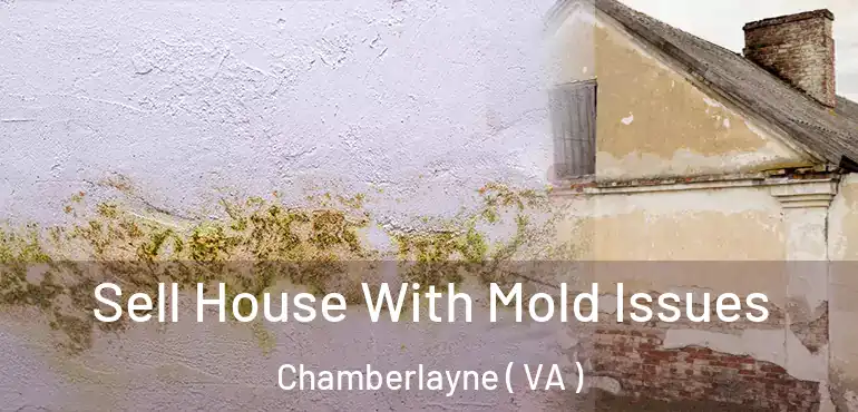  Sell House With Mold Issues Chamberlayne ( VA )
