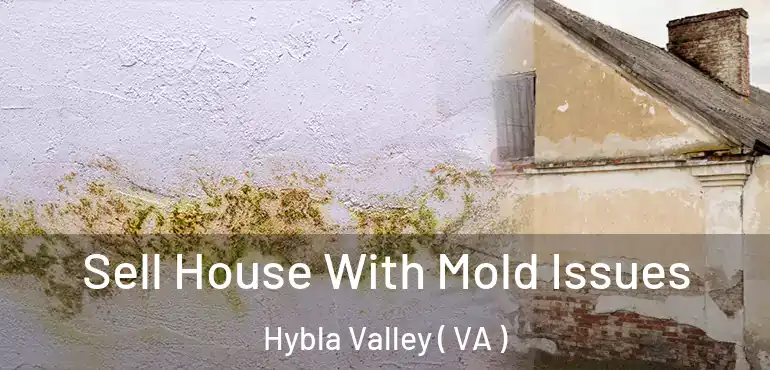  Sell House With Mold Issues Hybla Valley ( VA )