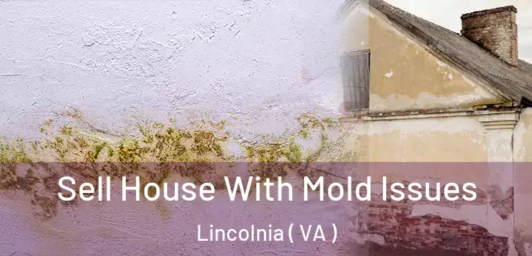  Sell House With Mold Issues Lincolnia ( VA )