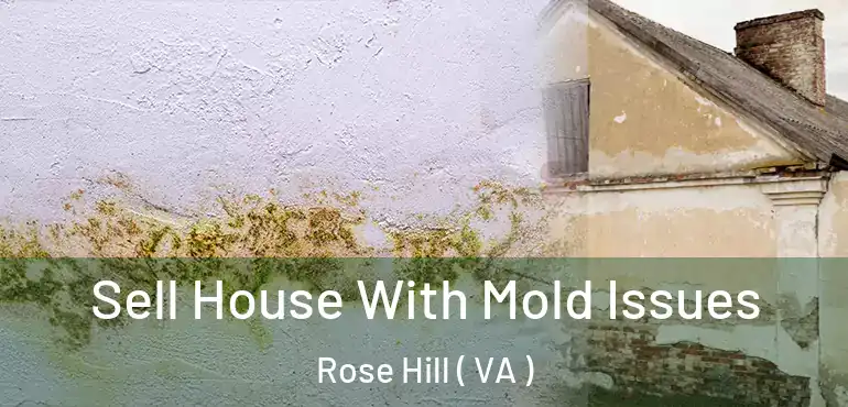  Sell House With Mold Issues Rose Hill ( VA )