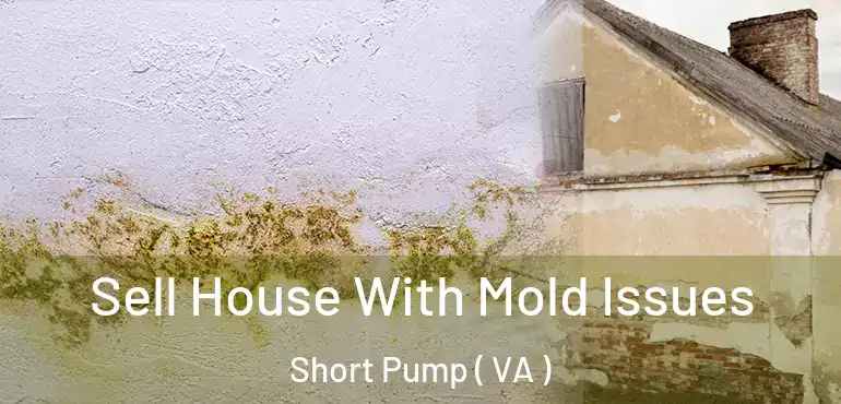  Sell House With Mold Issues Short Pump ( VA )