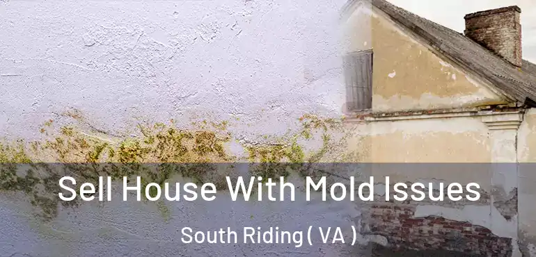  Sell House With Mold Issues South Riding ( VA )