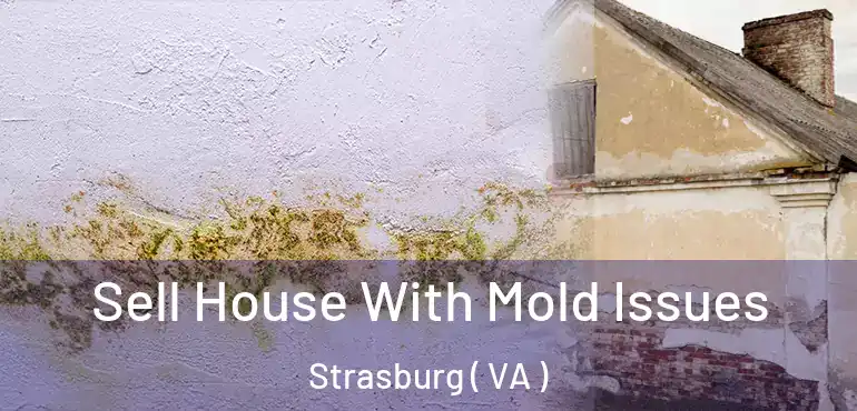  Sell House With Mold Issues Strasburg ( VA )
