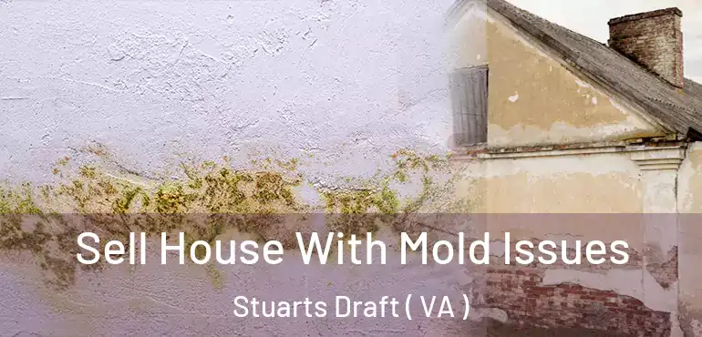  Sell House With Mold Issues Stuarts Draft ( VA )