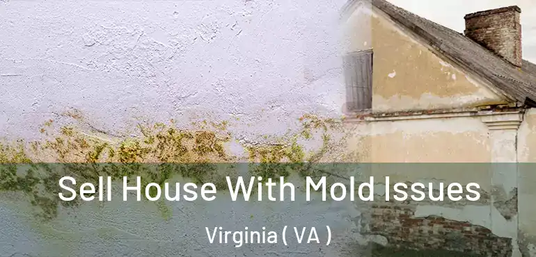  Sell House With Mold Issues Virginia ( VA )