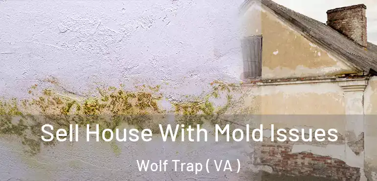  Sell House With Mold Issues Wolf Trap ( VA )