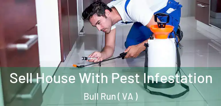  Sell House With Pest Infestation Bull Run ( VA )
