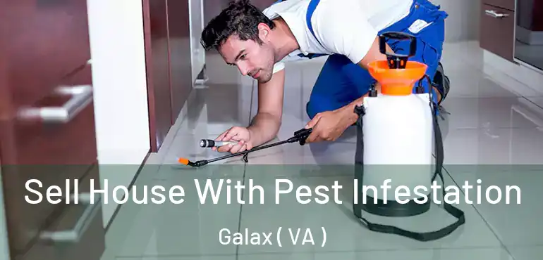  Sell House With Pest Infestation Galax ( VA )