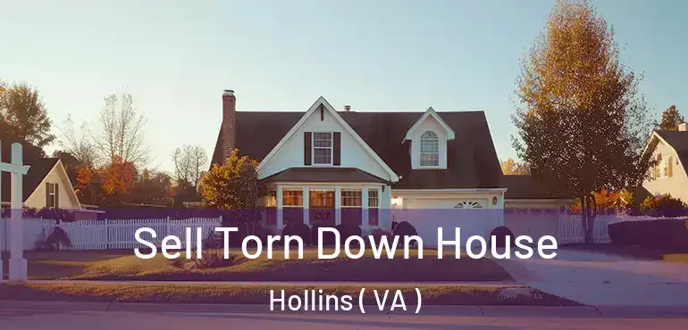  Sell Torn Down House Hollins ( VA )